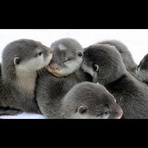 Meet your Posher, Lacie